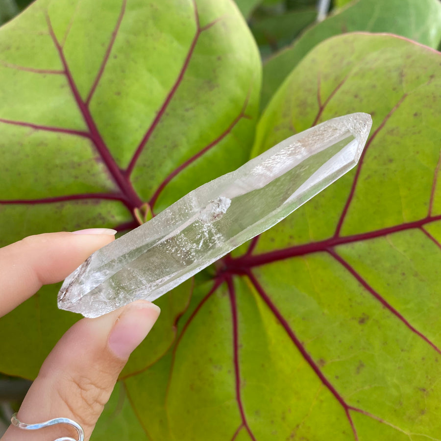 Lemurian Quartz Crystal #377