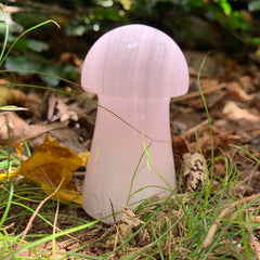 💖Pink Calcite Mushroom🍄