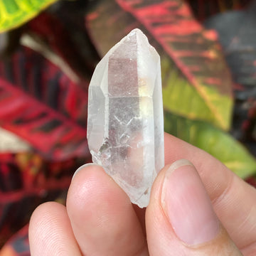 Lemurian Rutile Quartz Crystal #799