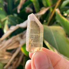 ✨All-Natural Phantom Congo Citrine Point #61