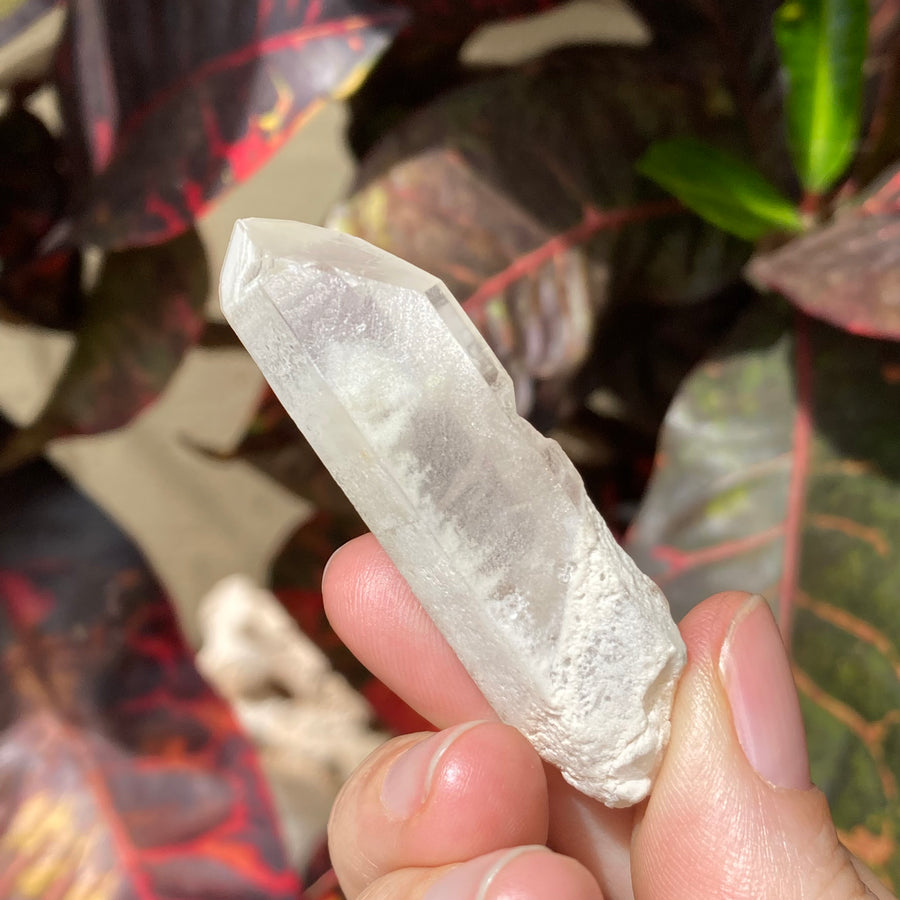 Phantom Lemurian Quartz Crystal #719