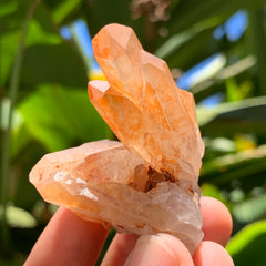 Tangerine Quartz Cluster #54