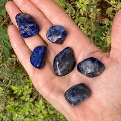 1x Sodalite Tumble!
