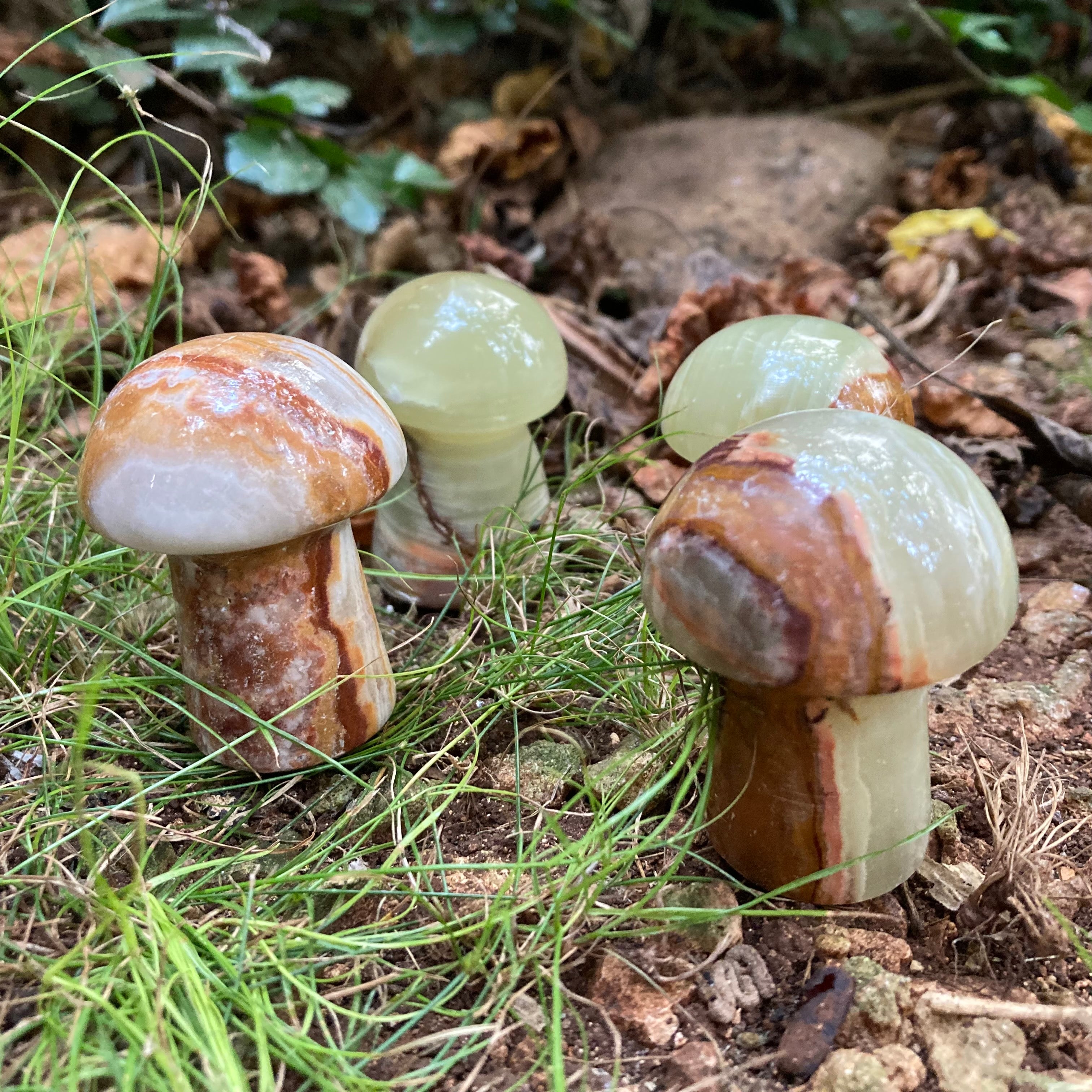 💚Green Onyx Mushroom 🍄 – lemuriacrystalshop