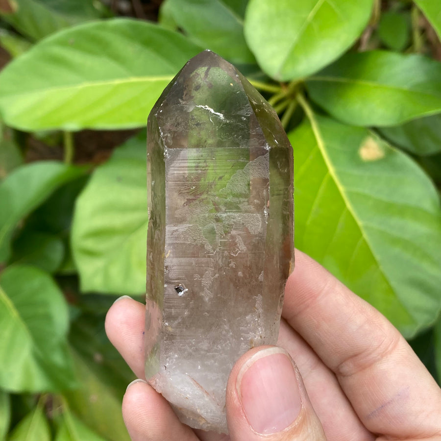 Smoky Lemurian Quartz Crystal #755