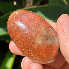 Lodolite Quartz #101