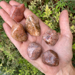 1x Pink Moss Agate Tumble!
