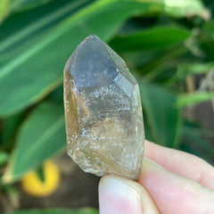 ✨All-Natural Phantom Congo Citrine Point #57