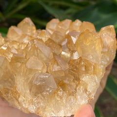 Congo Citrine Cluster #44
