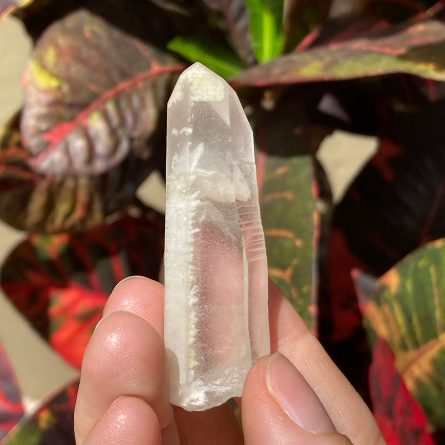 Phantom Lemurian Quartz Crystal #728