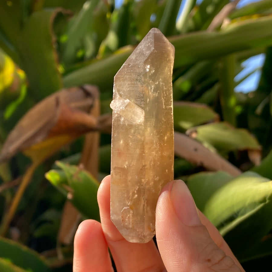 ✨All-Natural Congo Citrine Point #49