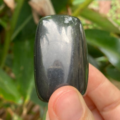 Shungite Tumble #100