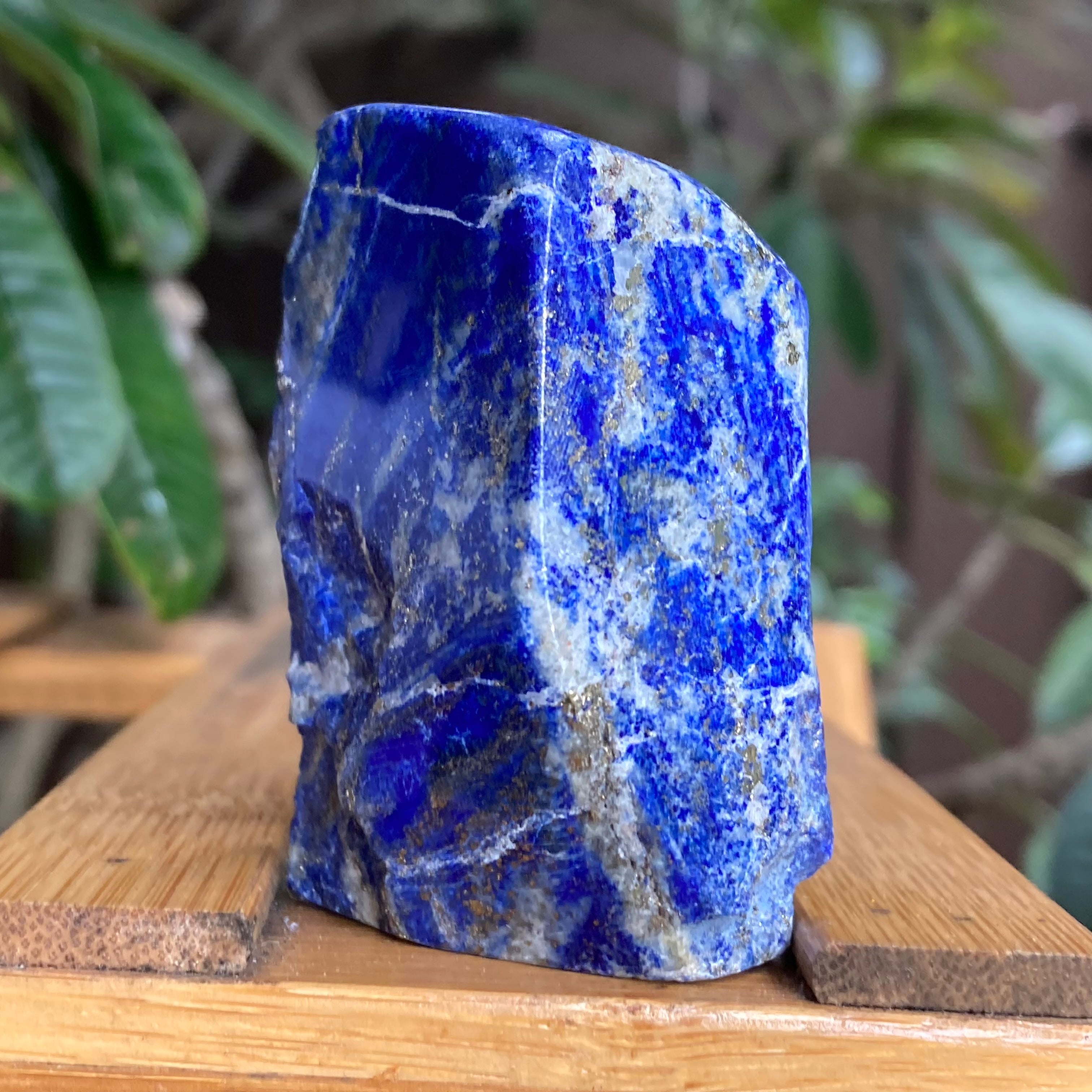 image_42bd07f4-6ee1-408f-8a25-