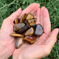 1x Tiger's Eye Tumble!