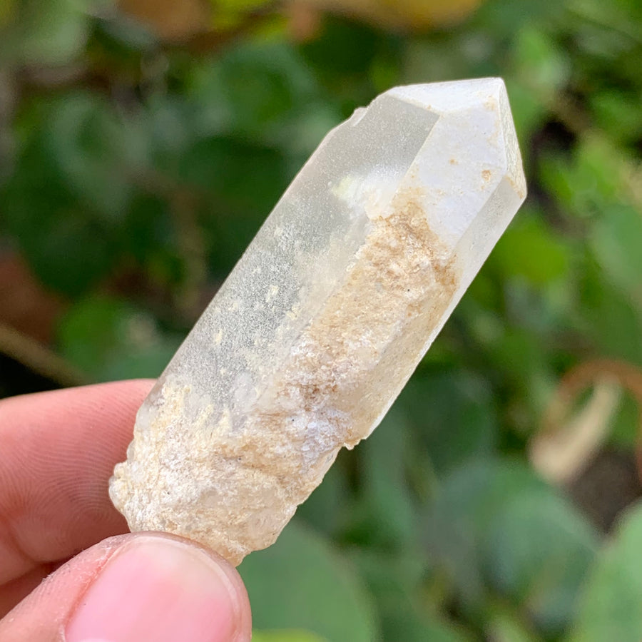 Phantom Lemurian Quartz Crystal #585