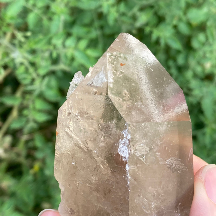 Smoky Lemurian Quartz Crystal #759