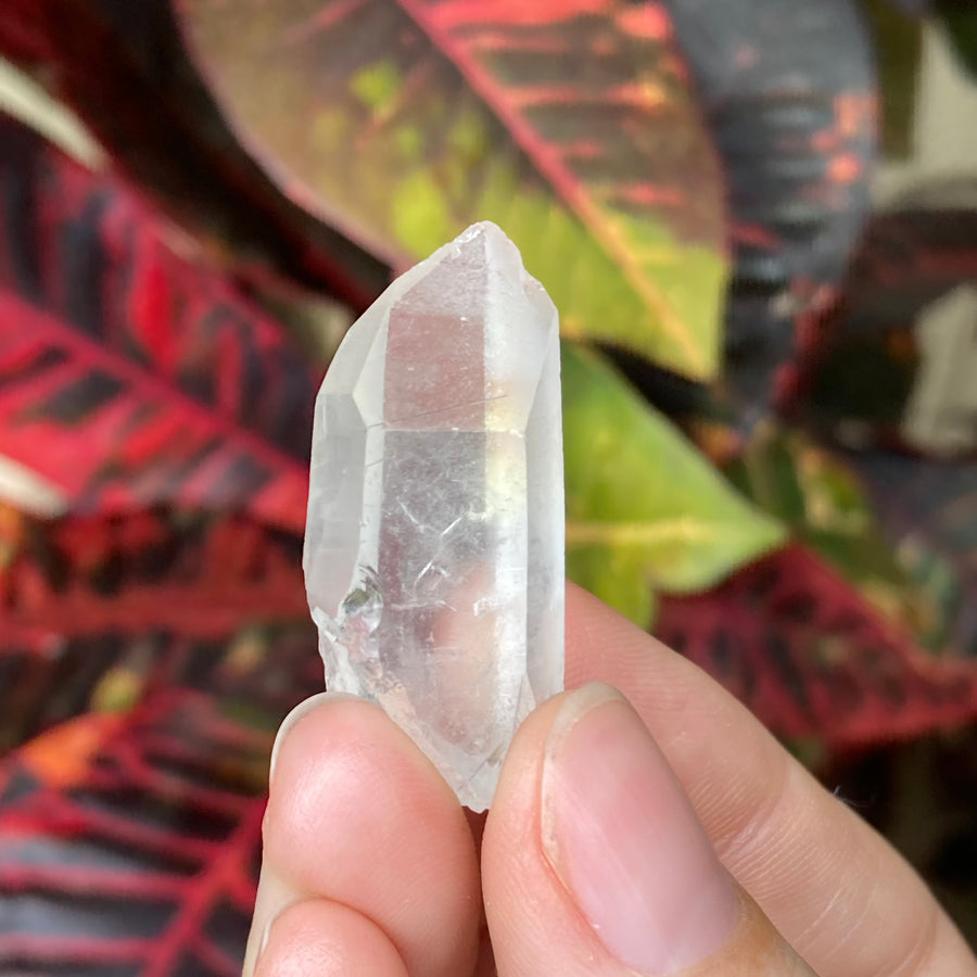 Lemurian Rutile Quartz Crystal #799