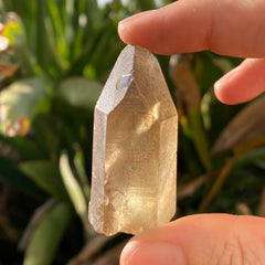 ✨All-Natural Phantom Congo Citrine Point #53