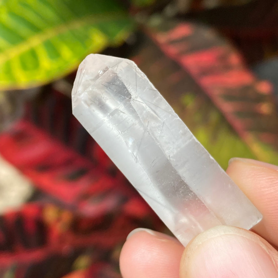 Lemurian Rutile Quartz Crystal #800