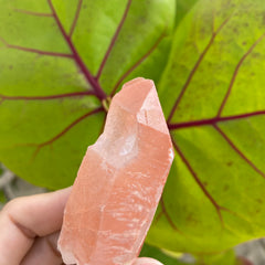 Tangerine Quartz Point #31