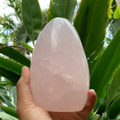 Rose Quartz Cut Base #19
