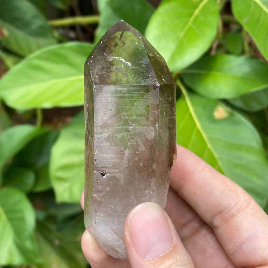 Smoky Lemurian Quartz Crystal #755