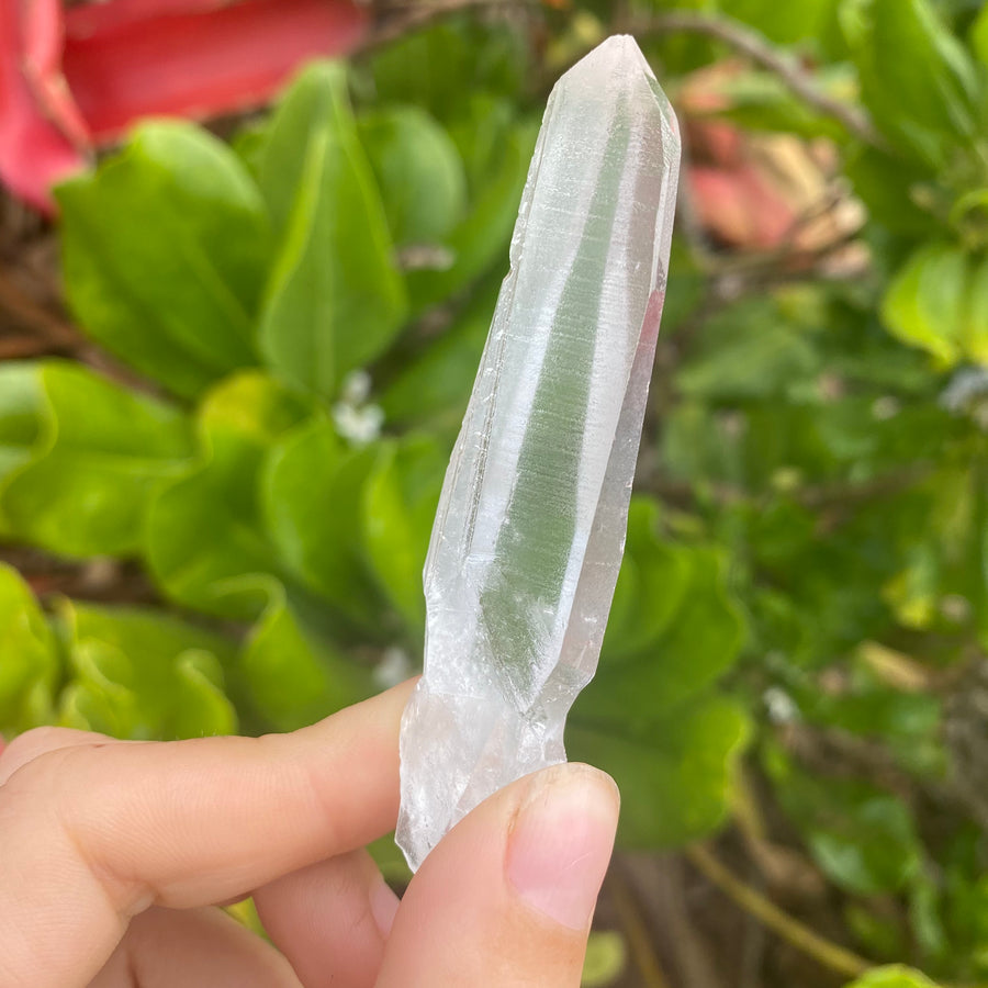 Lemurian Quartz Crystal #403