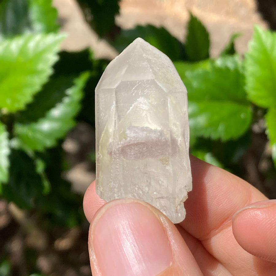 Phantom Lemurian Quartz Crystal #727