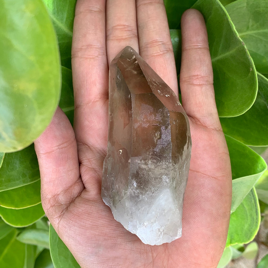 Smoky Lemurian Quartz Crystal #51