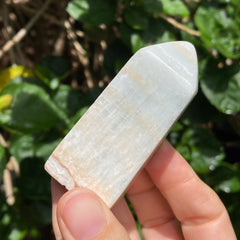 Ocean Calcite Tower #113