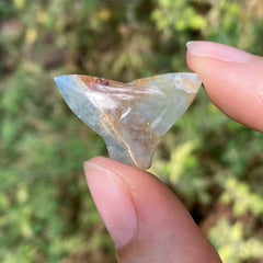 Lemurian Aquatine Whale Tail 🐳