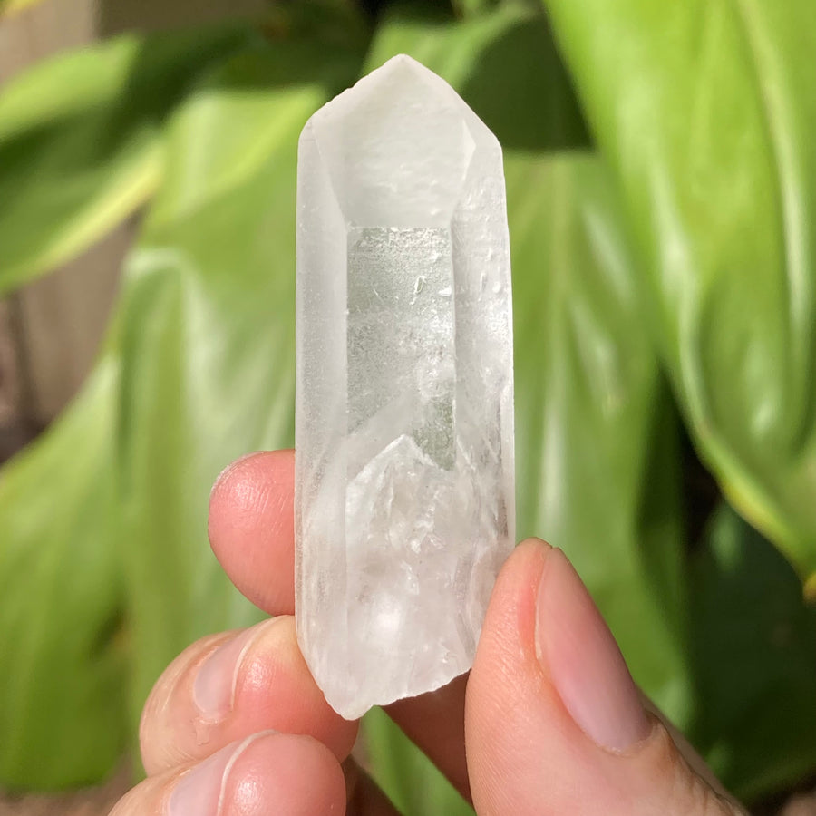 Phantom Lemurian Quartz Crystal #638