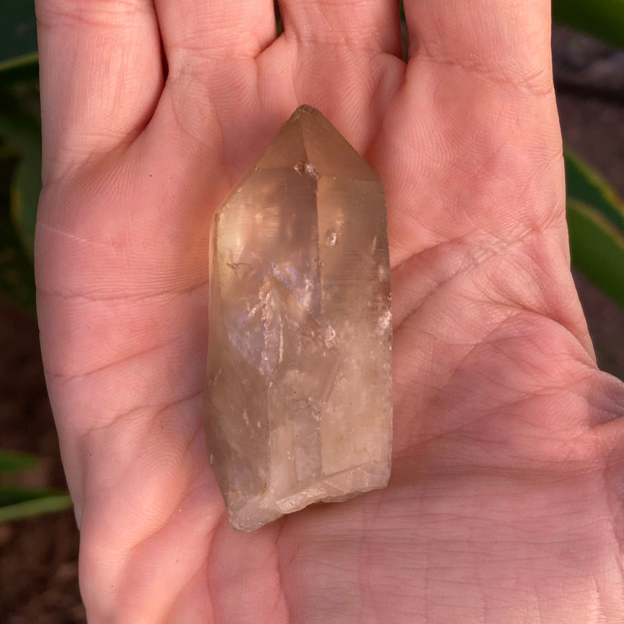 ✨All-Natural Congo Citrine Point #51