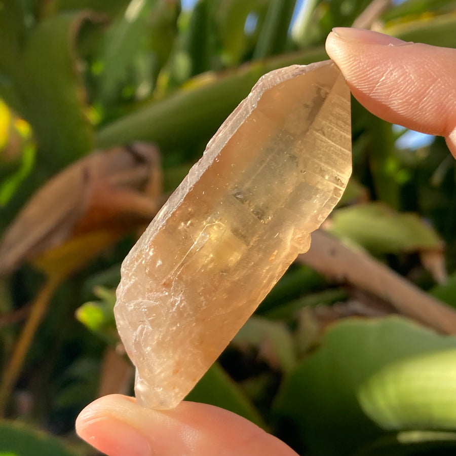 ✨All-Natural Congo Citrine Point #49