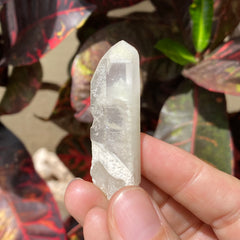Phantom Lemurian Quartz Crystal #719