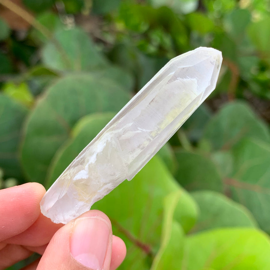 Phantom Lemurian Quartz Crystal #590