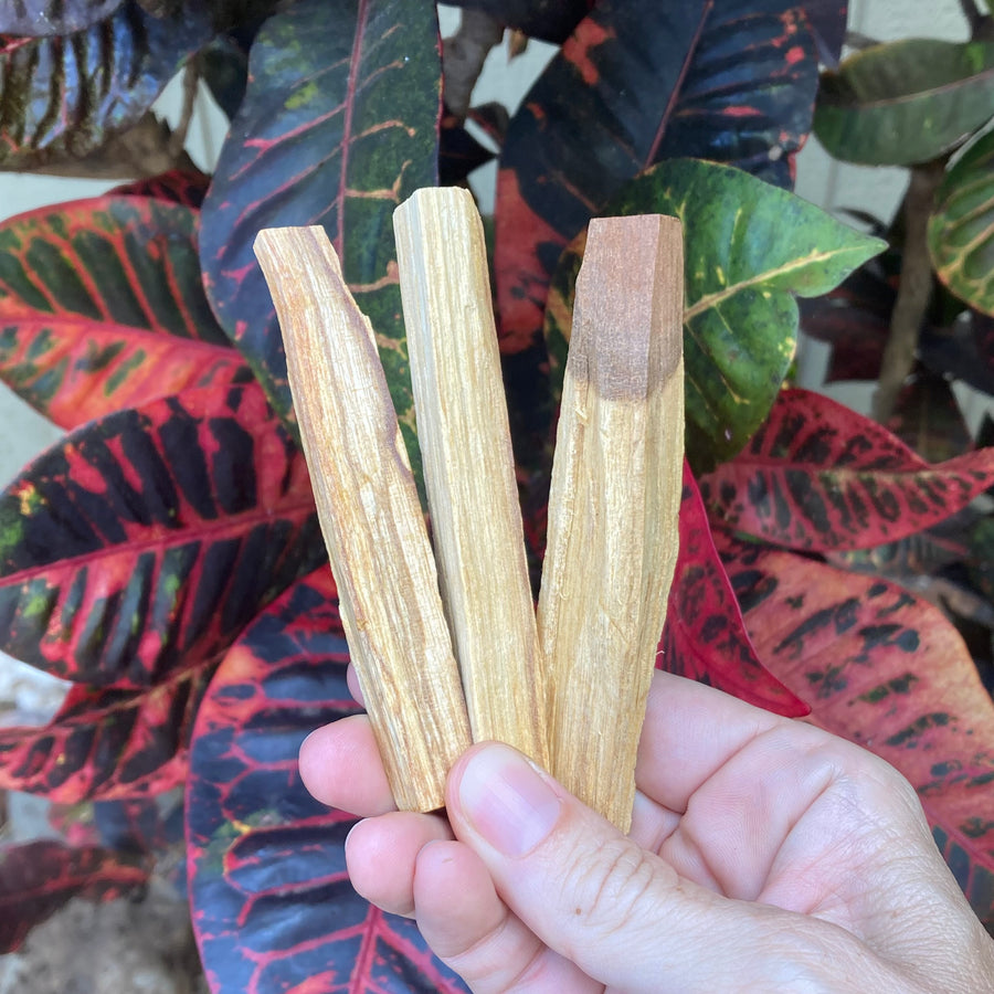 Set of 3 Palo Santo Sticks