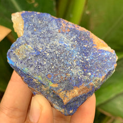 Azurite with Malachite #65