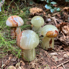 💚Green Onyx Mushroom 🍄