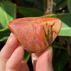 Amphibole Quartz #27