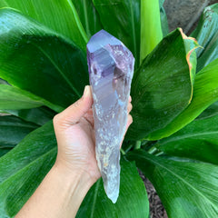 Phantom Amethyst Wand #78