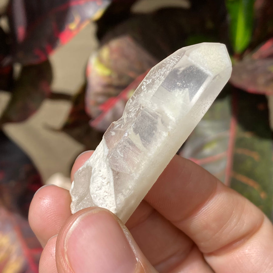 Phantom Lemurian Quartz Crystal #719