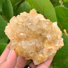 Congo Citrine Cluster #39