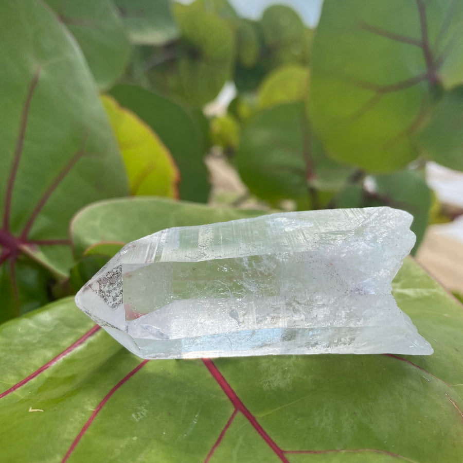 Lemurian Quartz Crystal #376