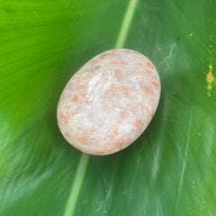 Sunstone Palm Stone #30