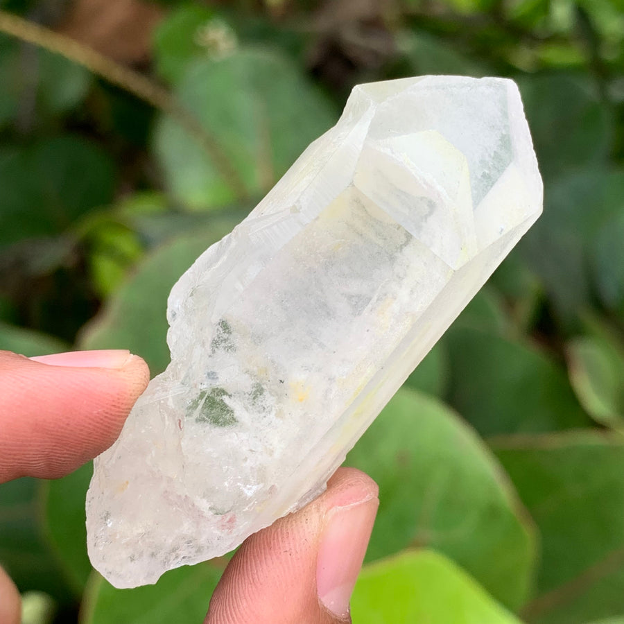 Phantom Lemurian Quartz Crystal #583
