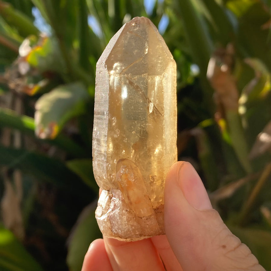 ✨All-Natural Congo Citrine Point #47