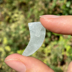 Lemurian Aquatine Horn