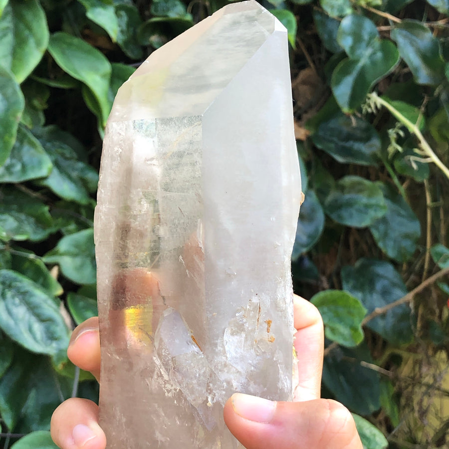 Smoky Lemurian Quartz Crystal #38