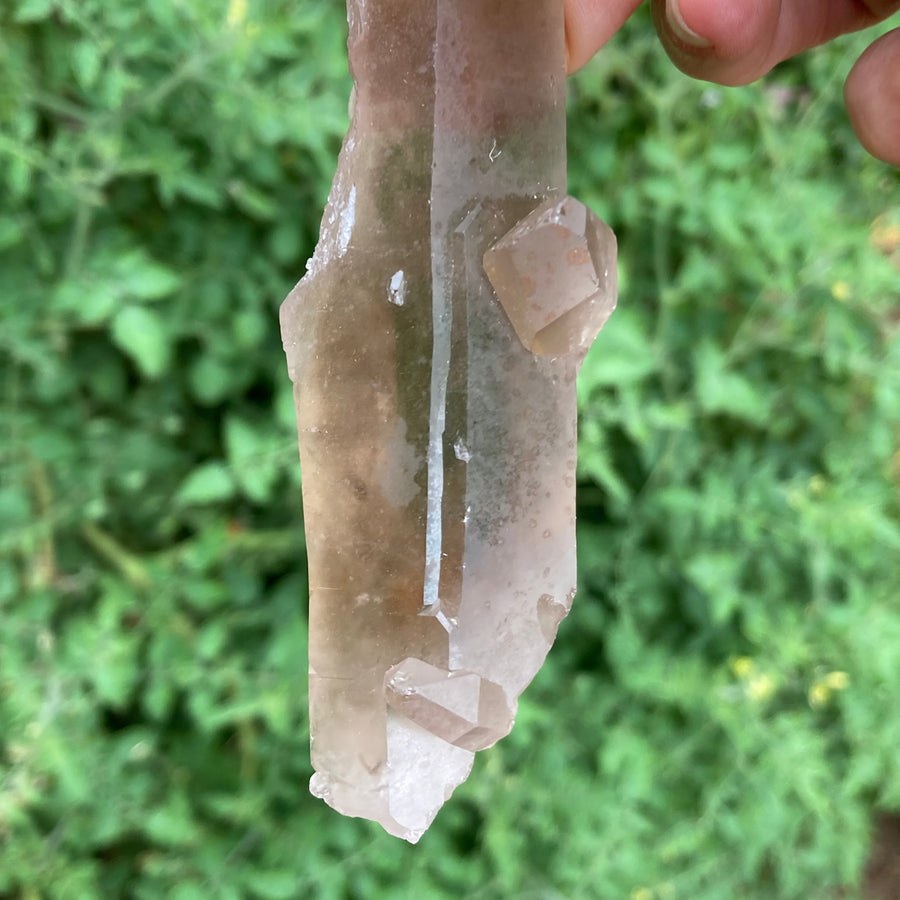 Smoky Lemurian Quartz Crystal #758